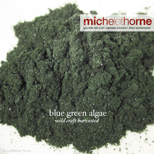 Blue Green Algae