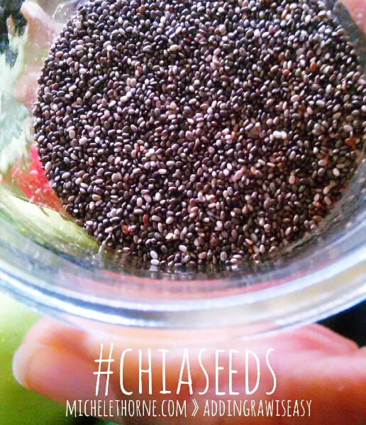 chia-seeds-vegan-protein-alternative- image