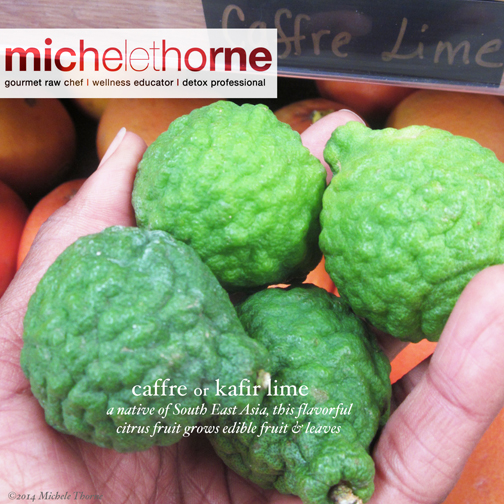 featured-image-kaffir-lime