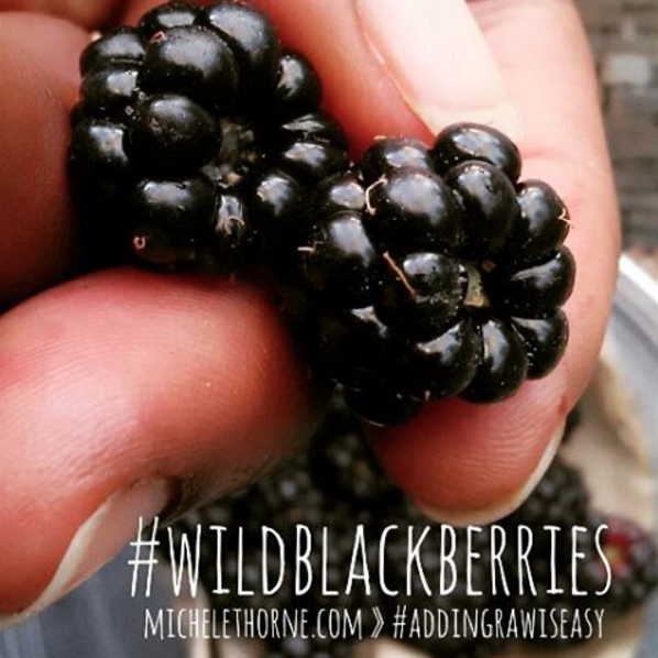 wildblackberries