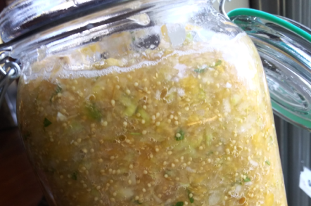 gut-brain-connection-fermented-pineapple-tomatillo